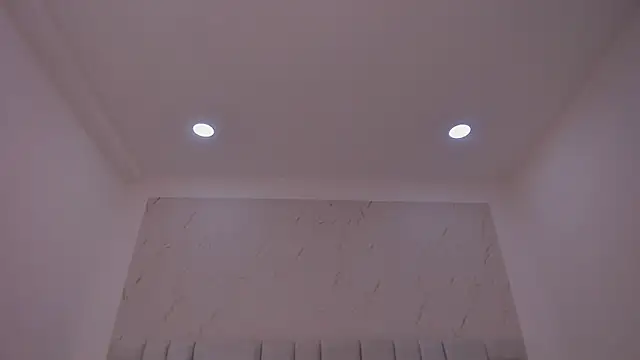 DakkotaFox webcam