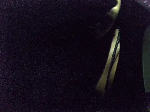 Dejavuh24 webcam