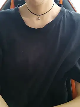 Aashikalaa webcam