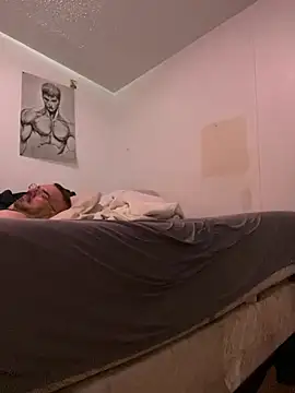 blink2716 webcam