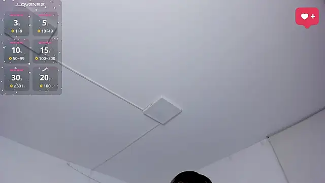 SaraWagner_ webcam