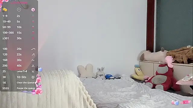 _flipped_ webcam