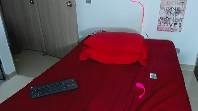 Arimonroee webcam