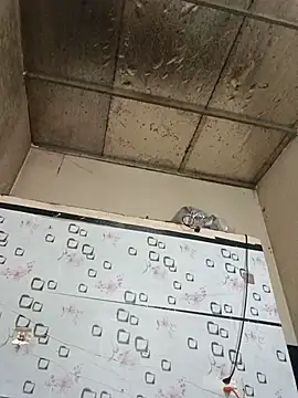 Sana-vn webcam