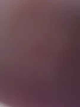 bunnyshake webcam