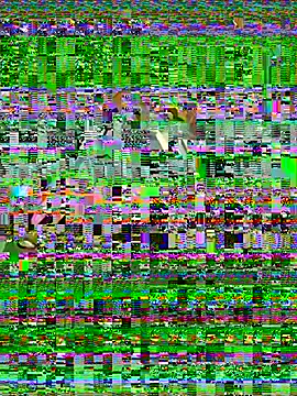 antonelaswete02 webcam