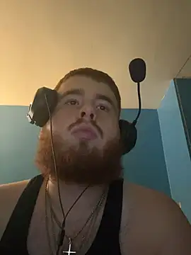 GingerChub4 webcam