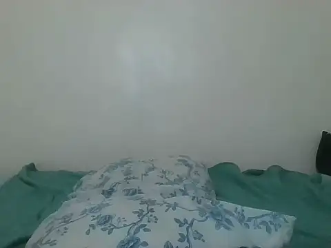 Honeydrew4 webcam