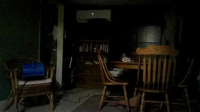 Sparky101 webcam