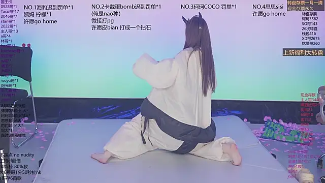 Sw-001 webcam