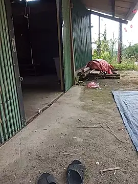 aiai220 - Aiai220's free webcam - UK Sex Cams