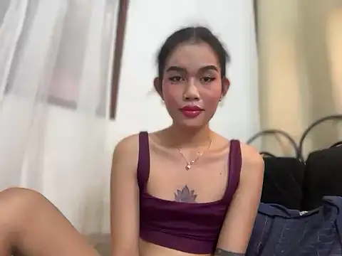 Fra_La webcam