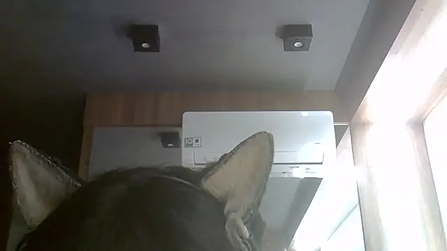 SkinnyKitten webcam