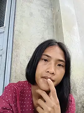 Hoa-tuylip