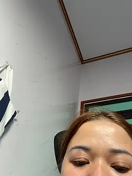 L_We webcam