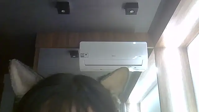 SkinnyKitten webcam