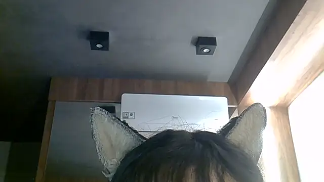 SkinnyKitten webcam