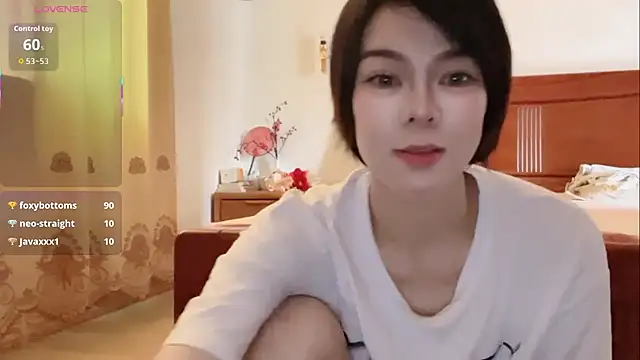 Linda-LL webcam
