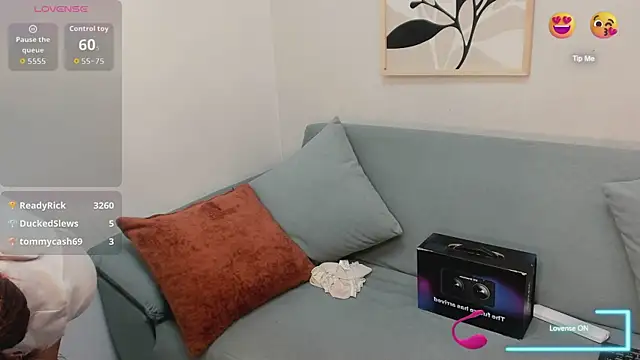 KassMonroe webcam
