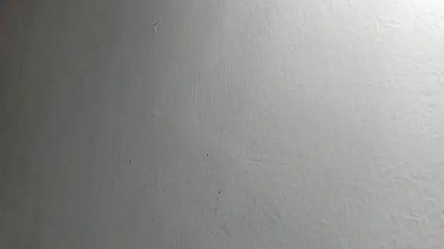 Thomas_Woolf webcam