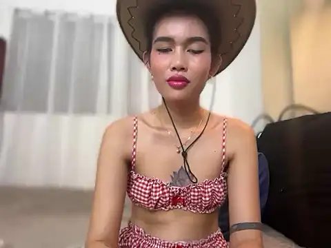 Fra_La webcam