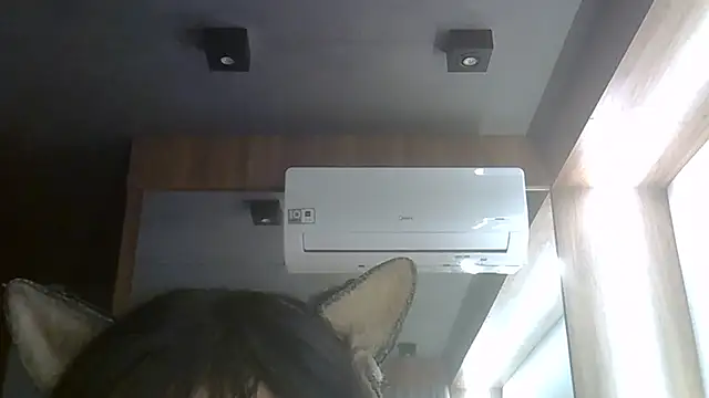 SkinnyKitten webcam