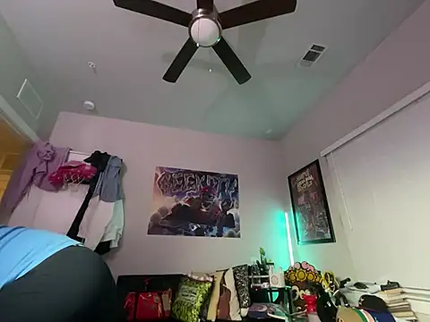 4EVAGLACIERS webcam
