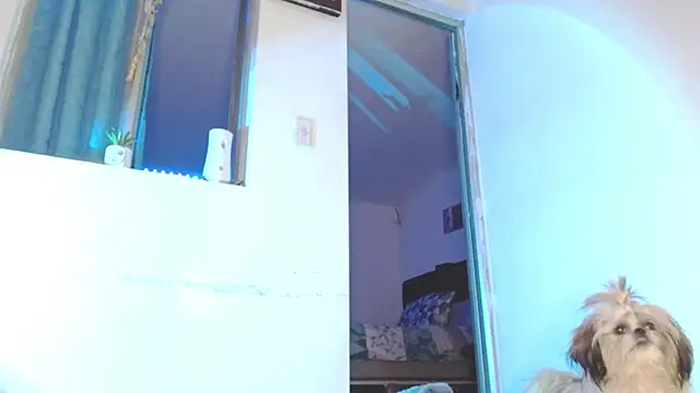 giuliana_andrade webcam