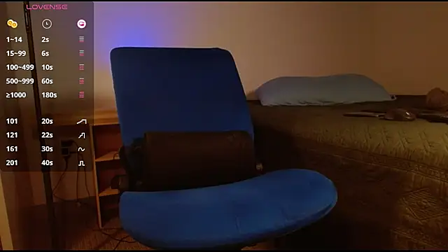 Danmetsen webcam