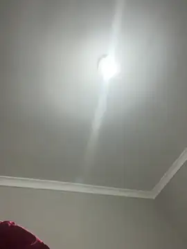 petite_bee webcam