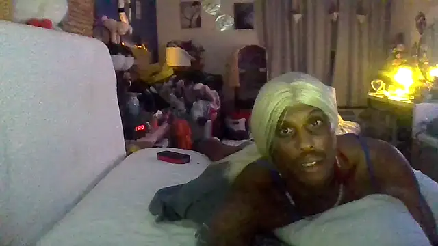 Dicksee_Left webcam