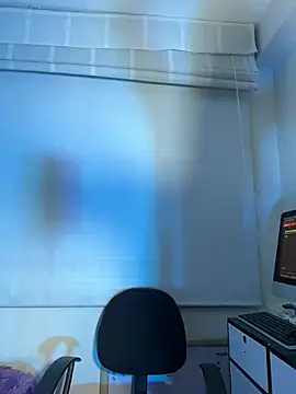 -Brittanny webcam