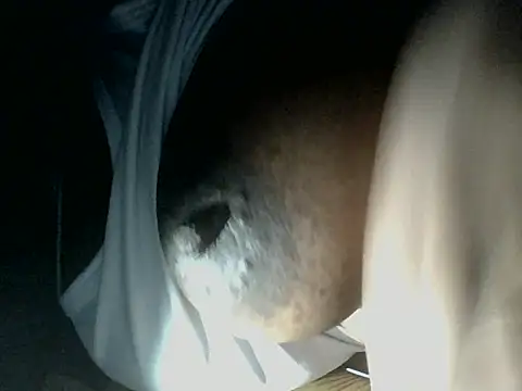 Midnightnova1 webcam