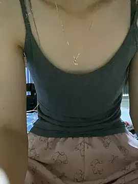 Li-Li12 webcam