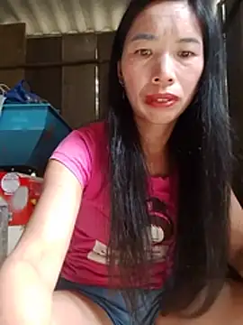 Tho-bibi webcam