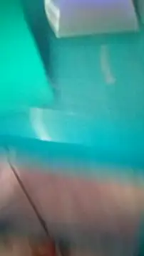 Anubiss91 webcam