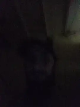 hairy_mannn webcam