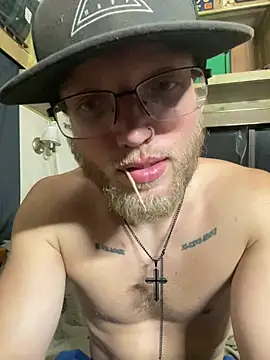 Silusgrai webcam