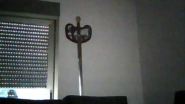 SirFrankonde webcam