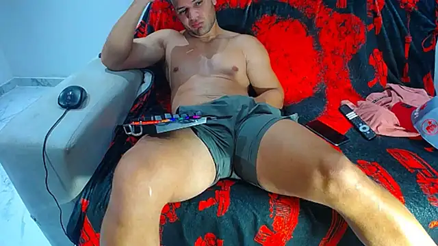 hugo_19cm webcam