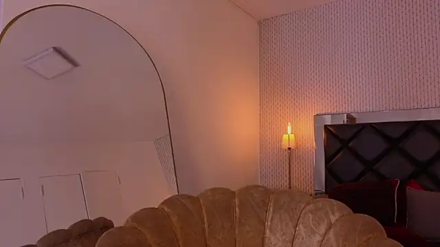 ryo_light webcam