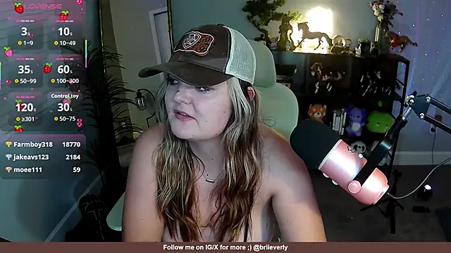 Briieverly webcam