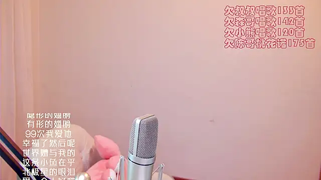 Eiayw_cc webcam
