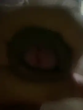 FeedSind webcam