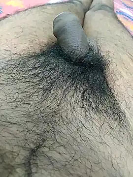 Bunny3095 webcam