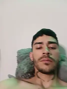 Perseo955 webcam