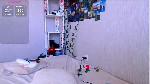 lilidip webcam