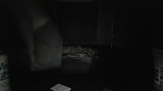 The_Real_aDDix269 webcam