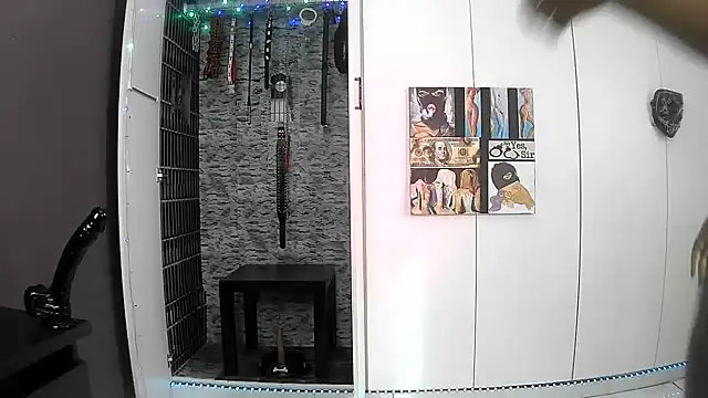 BaDSubMiss webcam