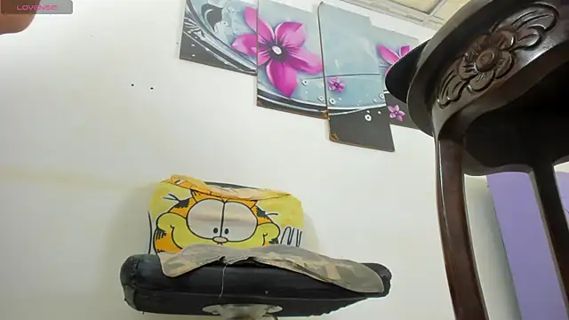 baiolethX webcam